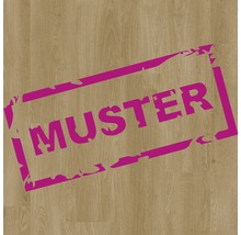 Produktbild: Handmuster SKANDOR Laminat 8.0 Shell Oak
