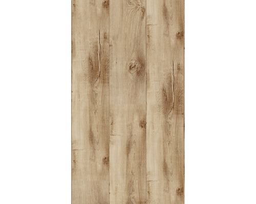 Handmuster SKANDOR Laminat 8.0 Vivid Oak