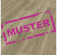 Produktbild: Handmuster Laminat 8.0 Sierra Eiche Gold