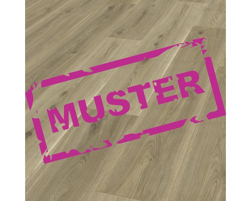 Handmuster Laminat 8.0 Sierra Eiche Gold