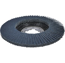 Lamellenschleifscheibe mit Aufnahme