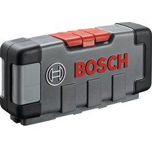 Bosch Werkzeugkoffer