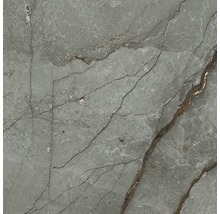 Bodenfliese Meissen Stonington grau poliert 59,8x59,8x0,8cm