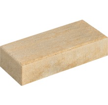 Pflasterstein aus Stein