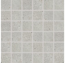 Produktbild: Feinsteinzeugmosaik Rako Piazzetta hellgrau 30x30cm, Steingröße 5x5cm