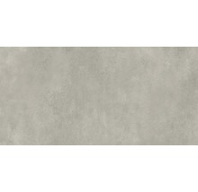 Feinsteinzeug Wand und Bodenfliese Classica hellgrau 59,8x119,8x0,8cm rektifiziert