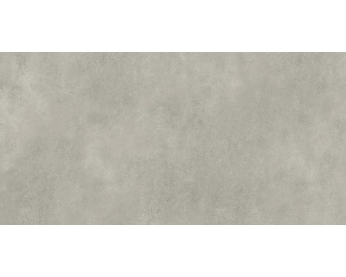 Feinsteinzeug Wand und Bodenfliese Classica hellgrau 59,8x119,8x0,8cm rektifiziert