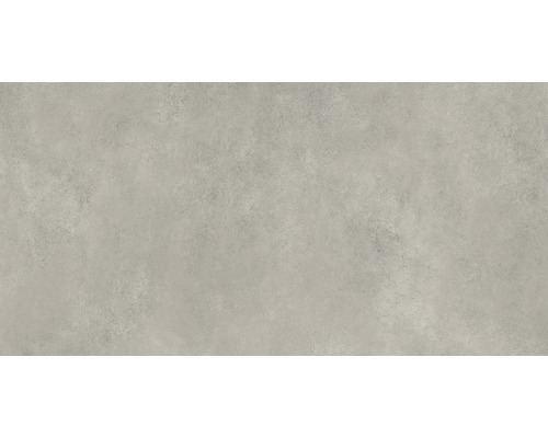 Feinsteinzeug Wand und Bodenfliese Classica hellgrau 59,8x119,8x0,8cm rektifiziert