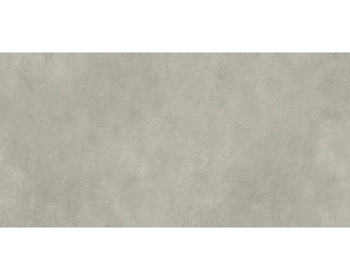 Feinsteinzeug Wand und Bodenfliese Classica hellgrau 59,8x119,8x0,8cm rektifiziert