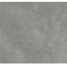 Feinsteinzeug Wand- und Bodenfliese Classica grau 59,8x59,8x0,8cm rektifiziert