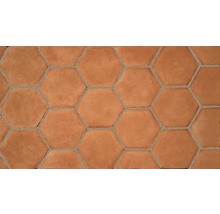 Terracottafliese Dublin Hexagon/Octagon, 225x198x18 mm