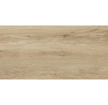 Feinsteinzeug Wand- und Bodenfliese Count Cedar 60x120 cm