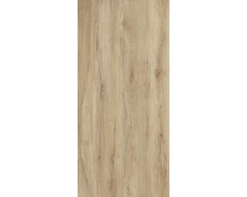 XXL Feinsteinzeug Wand- und Bodenfliese Count Cedar 120x260 cm bei  BODENHAUS kaufen