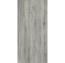 XXL Feinsteinzeug Wand- und Bodenfliese Count Grey 120x260 cm