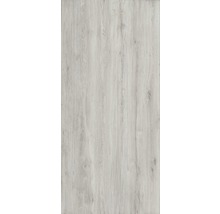 XXL Feinsteinzeug Wand- und Bodenfliese Count Moon 120x260 cm
