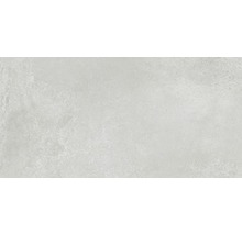 Feinsteinzeug Wand- und Bodenfliese Fresh Ash Natural 60x120 cm