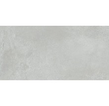 Feinsteinzeug Wand- und Bodenfliese Fresh Ash Pulido 60x120 cm