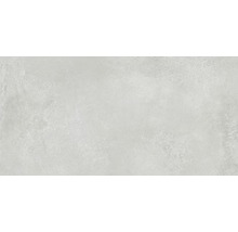 Feinsteinzeug Wand- und Bodenfliese Fresh Ash Natural 80x160 cm