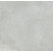 Feinsteinzeug Wand- und Bodenfliese Fresh Ash Pulido 120x120 cm