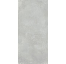 XXL Feinsteinzeug Wand- und Bodenfliese Fresh Ash Pulido 120x260 cm