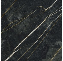 Produktbild: Wand- und Bodenfliese Darkstone Forest Pulido 60x60 cm