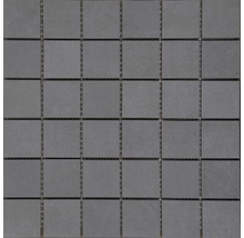 Feinsteinzeugmosaik Terra Cemento 30 x 30 cm