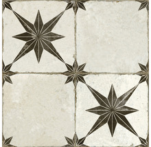 Wand- und Bodenfliese FS Star Ara black 45x45cm