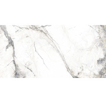 Fliesenmuster in Marmoroptik für Wand und Boden