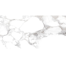 Wand- und Bodenfliese Haute white 60x120cm poliert