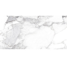 Wand- und Bodenfliese Haute white 60x120cm shaped