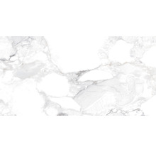 Wand- und Bodenfliese Haute white 75,5x151cm poliert