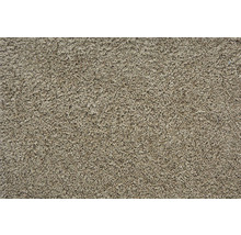 Teppichboden Kräuselvelours Banwell beige FB72 400 cm breit (Meterware)
