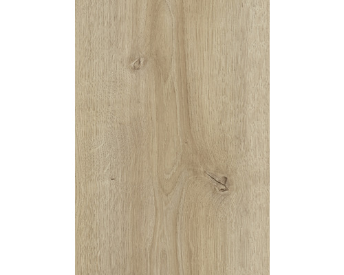 Handmuster Laminat 8.0 Masterfloor Aqualine Oak Cordova Elegante