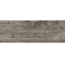 FLAIRSTONE Feinsteinzeug Terrassenplatte Legno Passione Musk rektifizierte Kante 120 x 40 x 2 cm