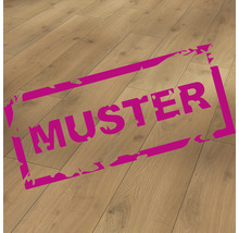 Produktbild: Handmuster zu Laminat 8.0 Eiche Tradition Natur
