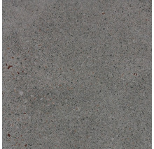 Graue Terrazzo Fliese