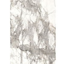 Wand- und Bodenfliese Arabescato 60x120 poliert, rektifiziert