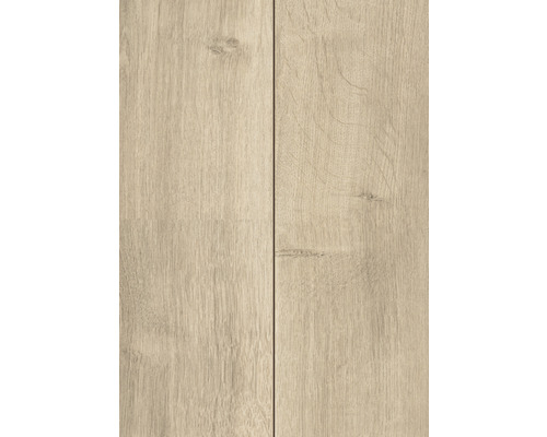 Handmuster SKANDOR Laminat 8.0 Shape Oak