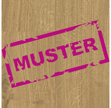 Produktbild: Handmuster Laminat 8.0 Widford Eiche