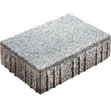 Pflasterstein aus Beton