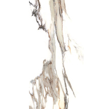 Fliese mit Marmoroptik