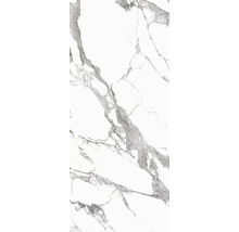 Feinsteinzeug Wand- und Bodenfliese Calacatta 279,7 x 119,7 x 0,6 cm white matt rektifiziert