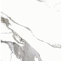 Feinsteinzeug Wand- und Bodenfliese Calacatta 59,7 x 59,7 cm white poliert