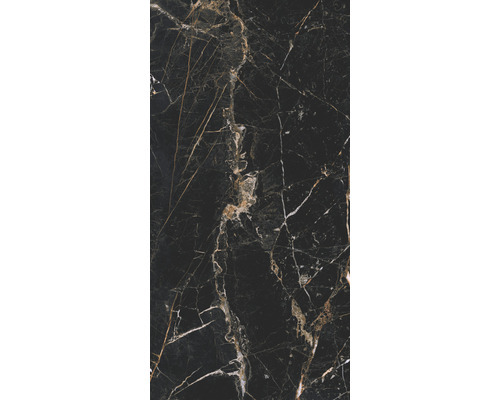 Feinsteinzeug Wand- und Bodenfliese Marquina 119,7 x 59,7 x 0,8 cm gold poliert rektifiziert