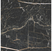 Produktbild: Feinsteinzeug Wand- und Bodenfliese Marquina 59,7 x 59,7 cm gold poliert