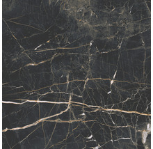 Fliese mit Marmoroptik und Maserung