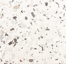 Terrazzo Terrassenplatte Castello bianco 60 x 60 x 2,5 cm