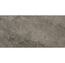 Wand- und Bodenfliese Gaia grau 29,8x59,8 cm
