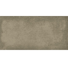 Wand- und Bodenfliese Shadow taupe 29,8x59,8 cm