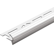 Treppenstufenprofil Dural Florentostep Alu/Silber Länge 100 cm Höhe 11 mm